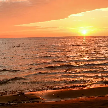 Juniper Tree House *