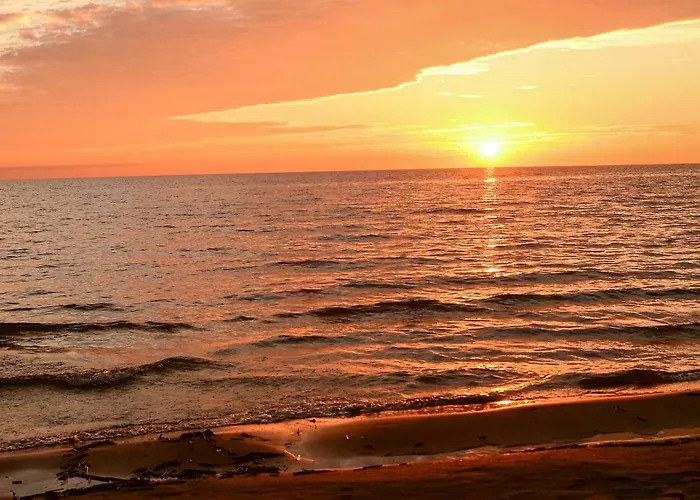 Juniper Tree House *