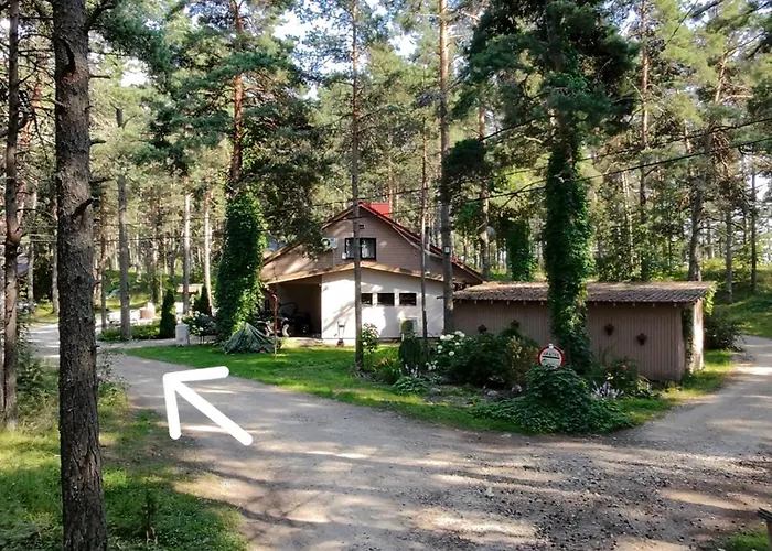 Juniper Tree House *